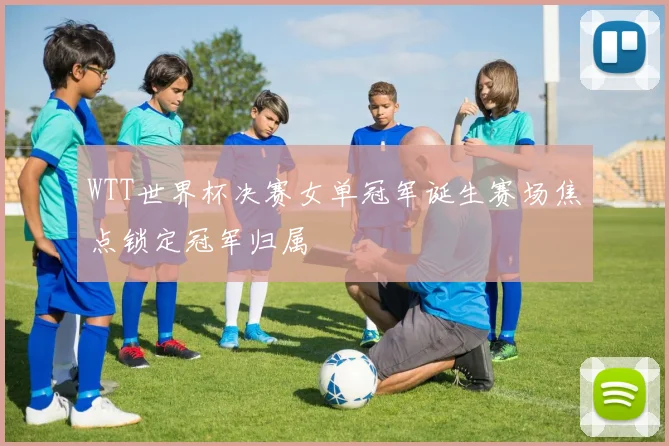 WTT世界杯决赛女单冠军诞生赛场焦点锁定冠军归属