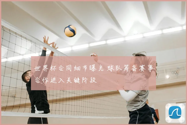 世界杯合同细节曝光 球队筹备赛事合作进入关键阶段