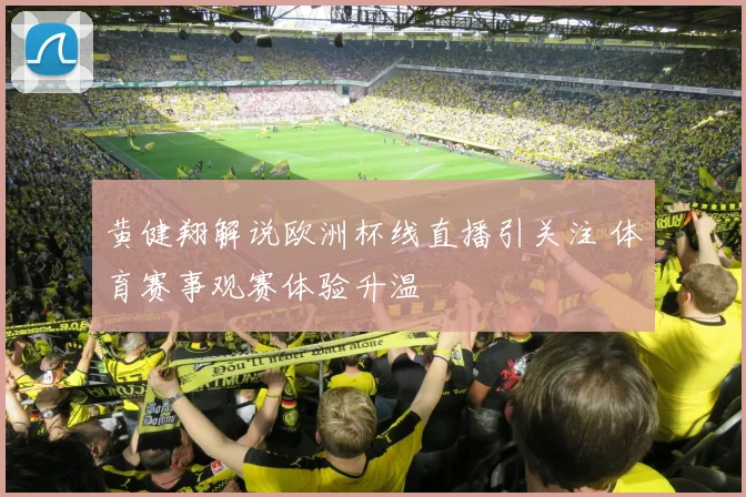 黄健翔解说欧洲杯线直播引关注 体育赛事观赛体验升温